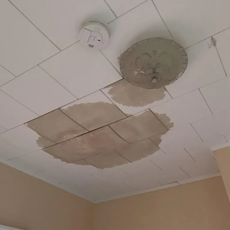 Ceiling Water Damage Repair in Freeman, SD