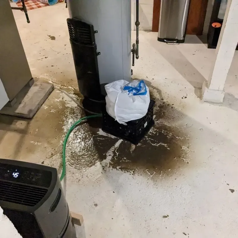 Sewage Backup Cleanup Service in Freeman, SD